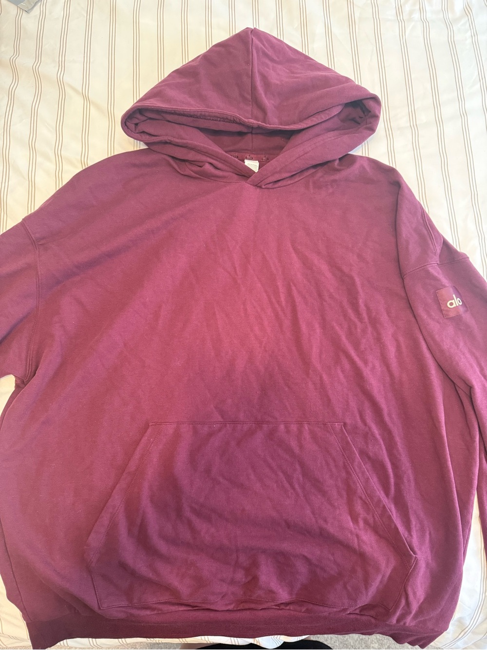 ALO Double Take Hoodie - Large